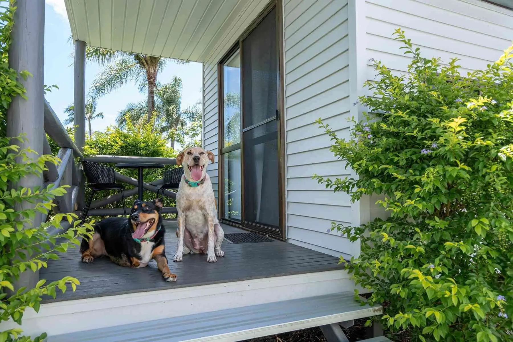 THP Hervey Bay Stock Destination