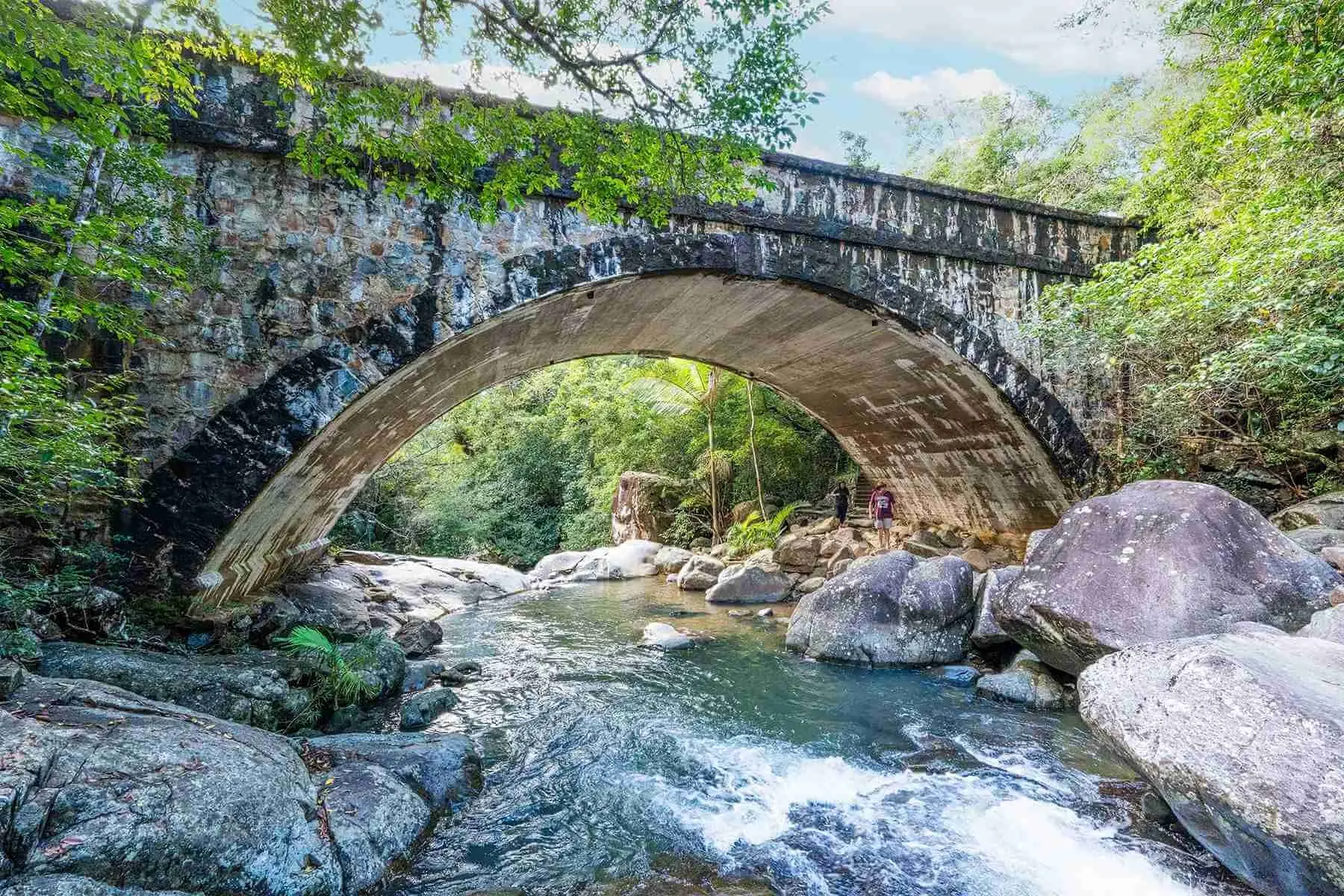 THP Rollingstone Destination