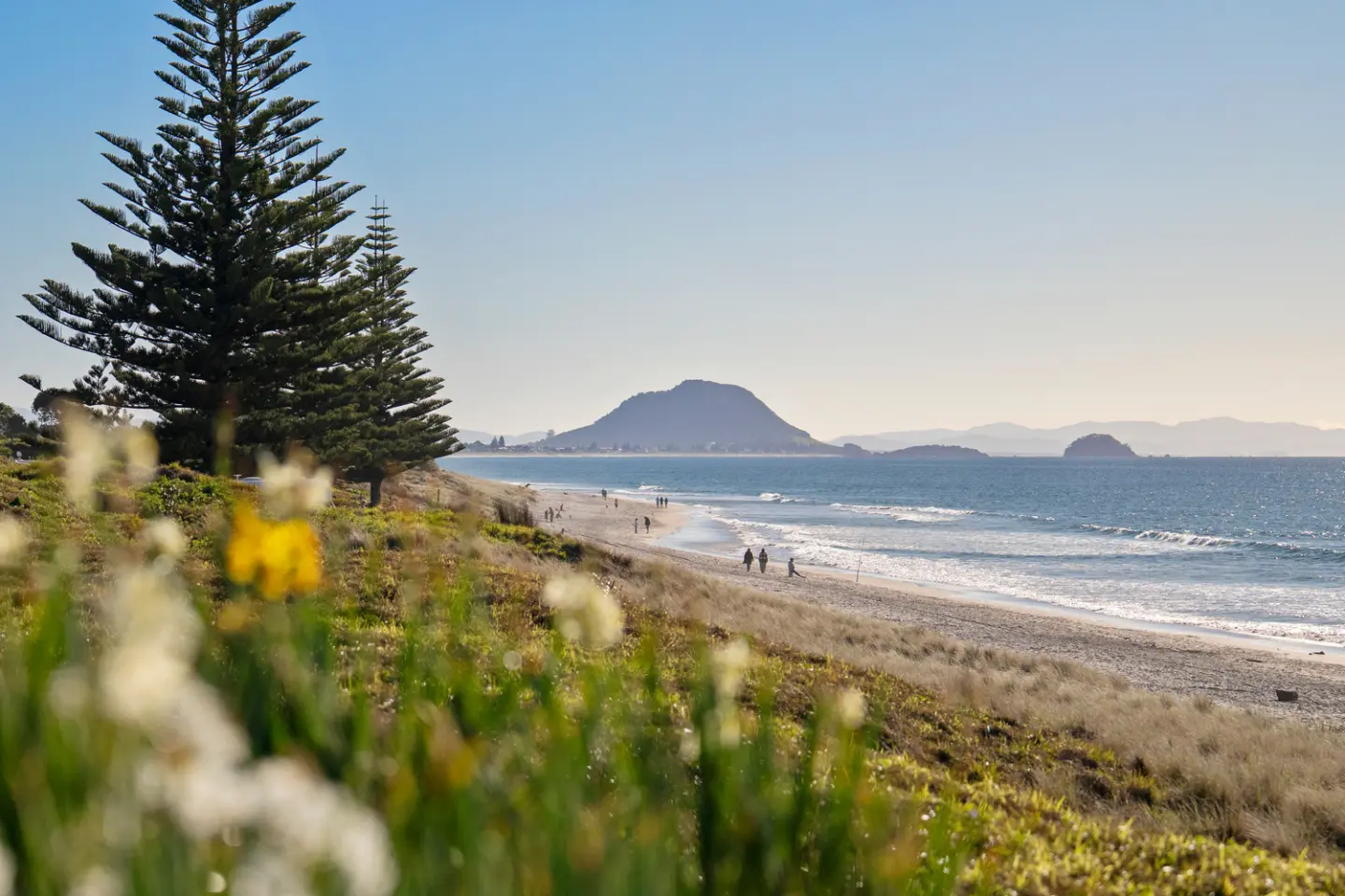 Tasman Holiday Parks - Papamoa Beach